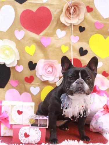 20230210スミレちゃん